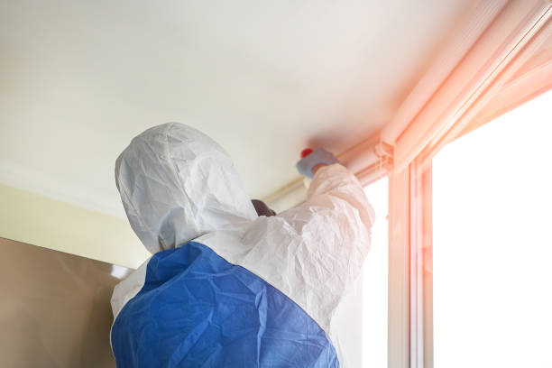  Houston, MS Mold Inspection Pros